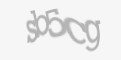 Захисний код